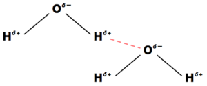 ファンデルワールス力・水素結合・疎水性相互作用